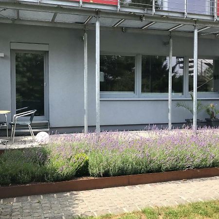 Wander- und Aktivchalet Birkenfeld  Exterior foto